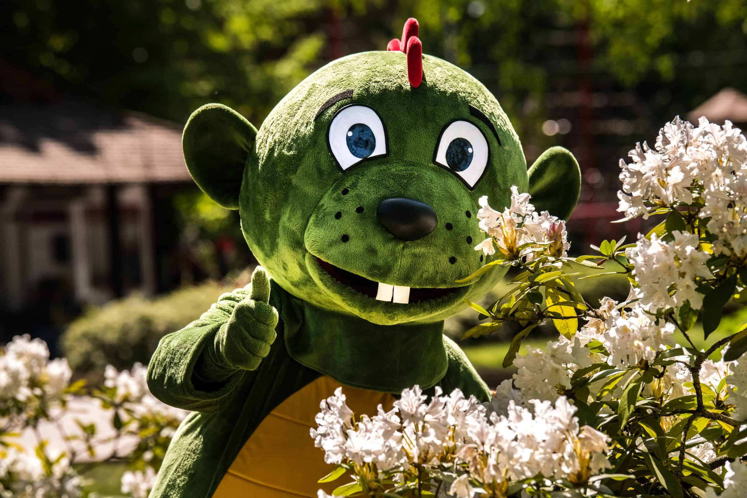 bewerbung est garten bewerbung est garten
